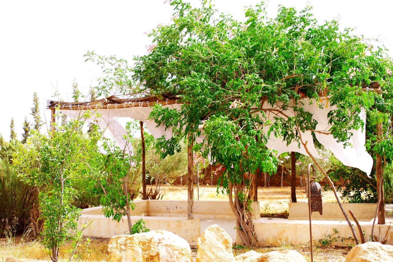 Artgana Lodge Εσαουίρα Εξωτερικό φωτογραφία