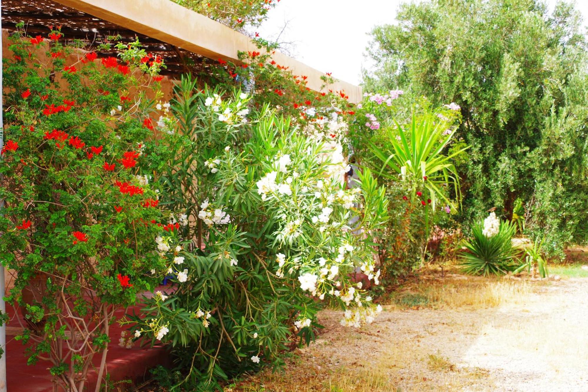 Artgana Lodge Εσαουίρα Εξωτερικό φωτογραφία